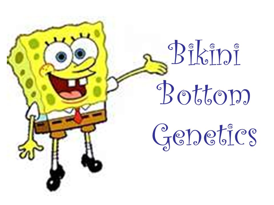 Bikini Bottom Genetics